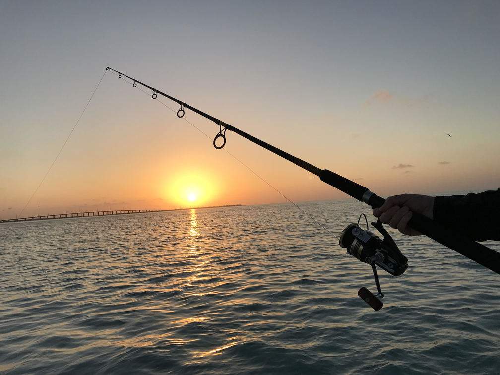 Fishing pole in front of the sunset